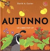 Autunno. Un libro pop-up. - ed. La Coccinella